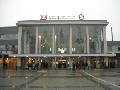 Fledermaus Dortmund
